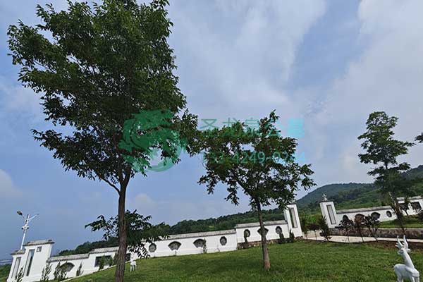 沈阳圣龙泉墓园