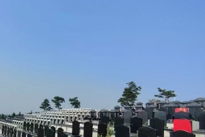 沈阳陵园生态葬有哪些优点需要多少钱？